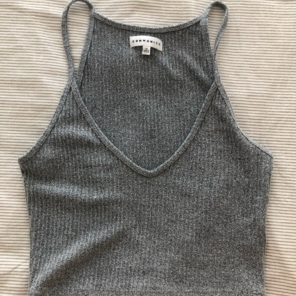 Aritzia Community crop top